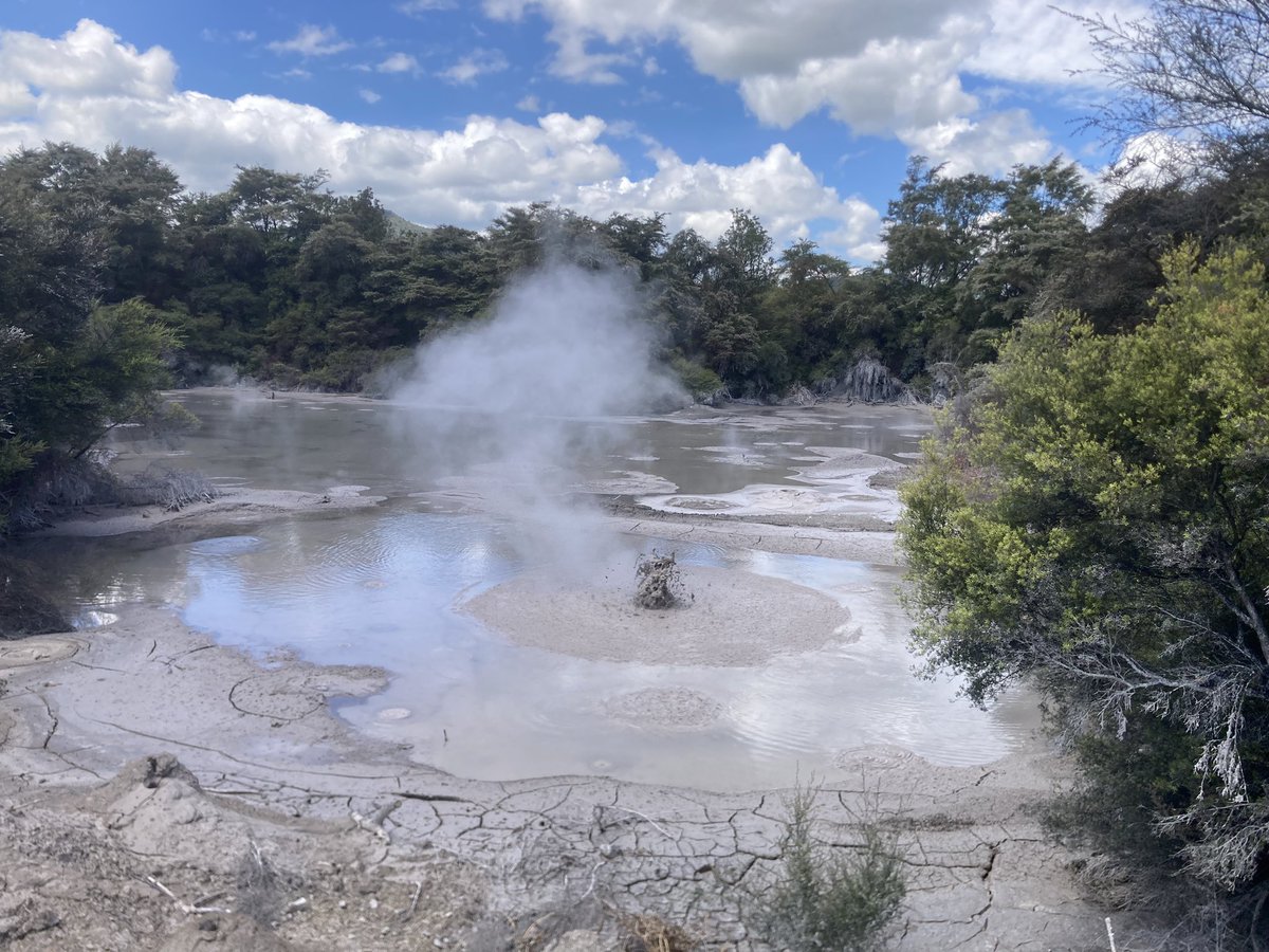KSumby's tweet photo. 🌏Happy #WorldSoilDay2024 #SoilsRotorua2024. Te Kiri o Papatūānuku https://t.co/2t4NSc5gtO