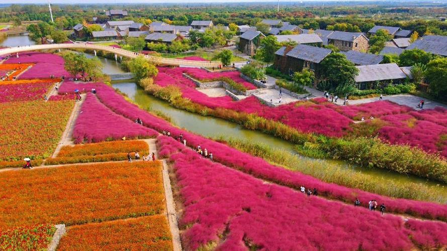 ยอดเยี่ยมมณฑลเจียงซู—Charm of Jiangsu tweet media