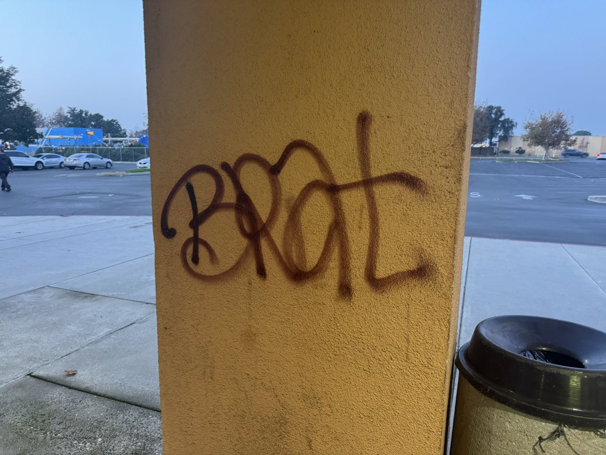 Plainrock124 tweet media