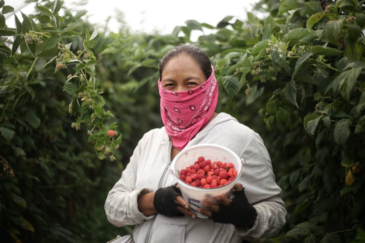 Xavier Orendáin De Obeso tweet media