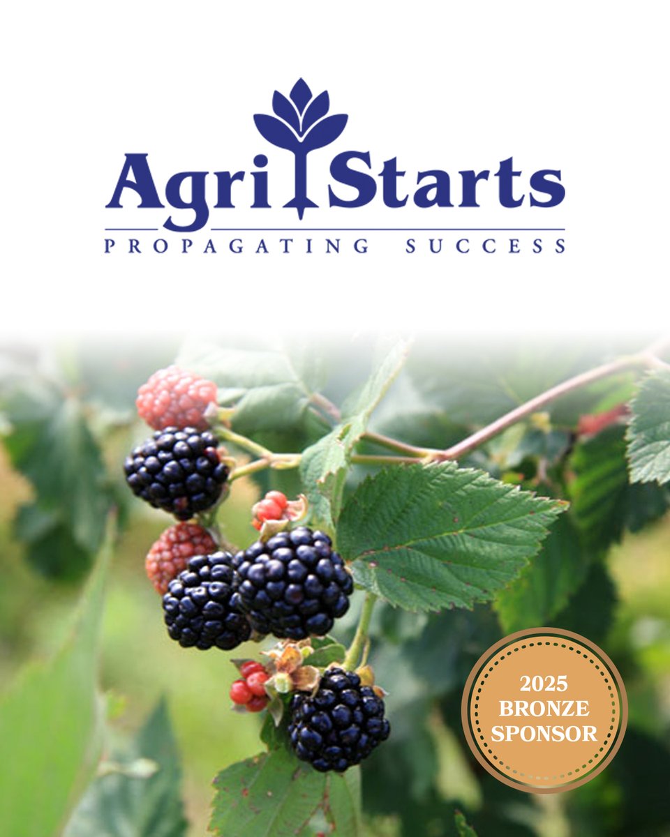 We would like to thank Agri-Starts for supporting our 2025 Conference as a Bronze sponsor! Agri-Starts is committed to bringing you the highest quality &amp; most unique plant material available.  agristarts.com

Register: raspberryblackberry.com/conference/202…

#NARBA #berrygrowers