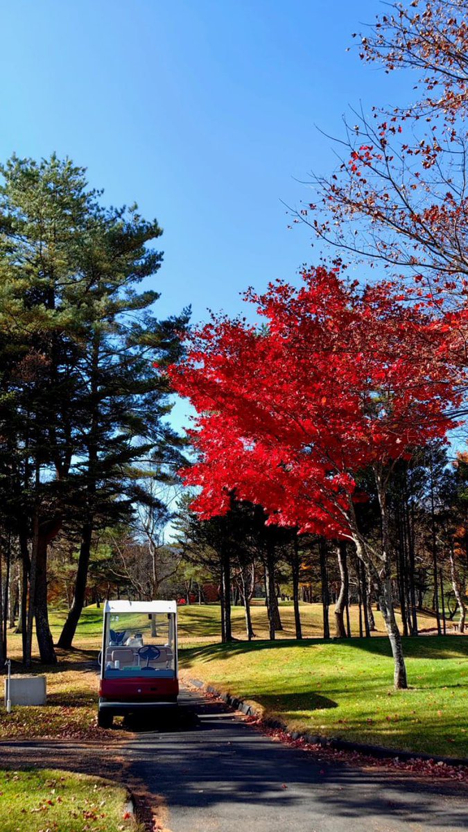 JoshLansky's tweet photo. 秋色爆発🍁 紅葉が高原を彩る、広大なゴルフ場で素晴らしいゲームを楽しんできました🏌️‍♀️🏌️‍♂️自然美とスポーツの魅力を存分に味わえました😍 https://t.co/ThF7SsXMoQ