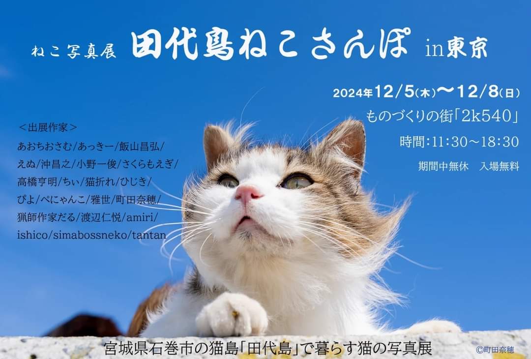 Slash_Career's tweet photo. 今日から8日まで
東京で田代島の猫写真展に展示させていただきます。
インフルエンサー兼写真家とか
猫の家系図とか
入場無料なので
猫好きな方は是非ご覧ください😊
#猫
#photograph
#cats https://t.co/WojnCv36wH