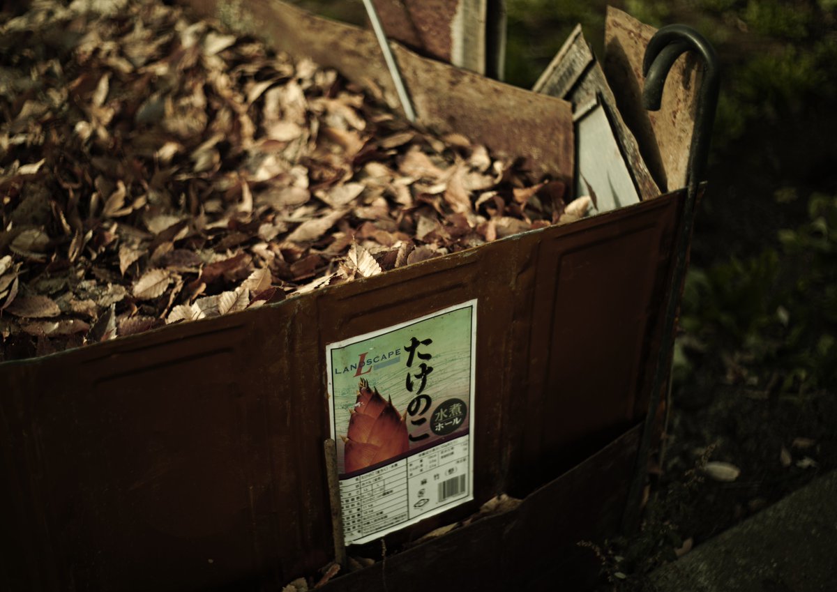 tune_h's tweet image. ペンタコンさんぽ
ひさびさにペンタコンを、
よいレンズです(^^)
#SIGMA
#SIGMAfpL 
#pentacon
#pentaconauto50mmf18
#旧東独製レンズ