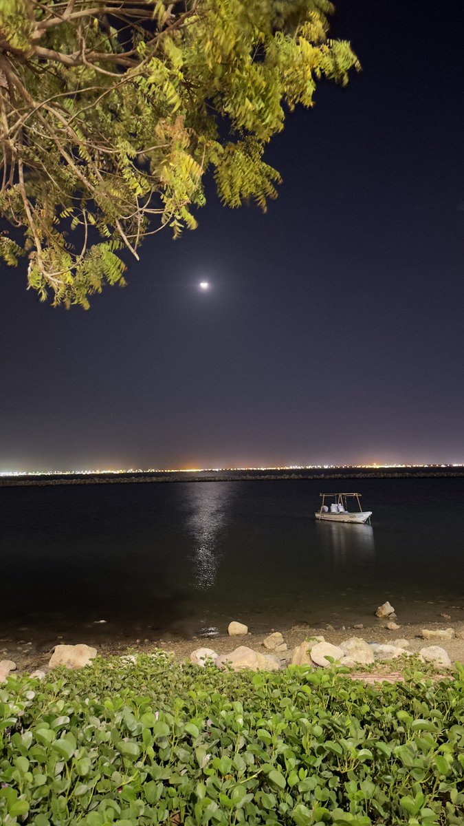 srxe14's tweet photo. beautiful night in Al khobar https://t.co/3xisIF6FmN