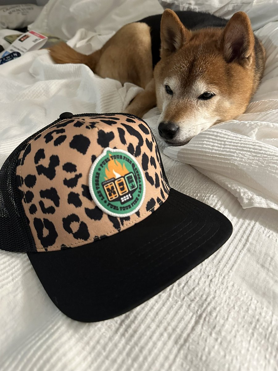 HoneycombEmpire's tweet image. Hey @SpottieWiFi ..@XREALDOG got you a gift from #MJBIZ
We will get it to you at @ArtBasel