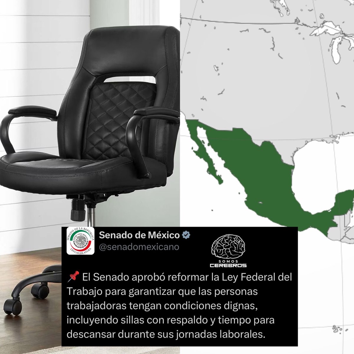 CerebrosG's tweet photo. Urgente de último momento: Ya es completamente oficial, el Senado de la República aprobó por unanimidad la Ley Silla.

-Los empleadores deben proveer sillas para que las personas trabajadoras realicen sus tareas o descansen.
-Se prohibe que las personas trabajadoras permanezcan de pie toda la jornada o se les impida sentarse.
-Se deben establecer periodos de descanso obligatorios dentro de la jornada laboral.

Con esta ley, se busca mejorar la salud de las personas trabajadoras e incrementar su productividad y garantizar condiciones laborales más dignas.