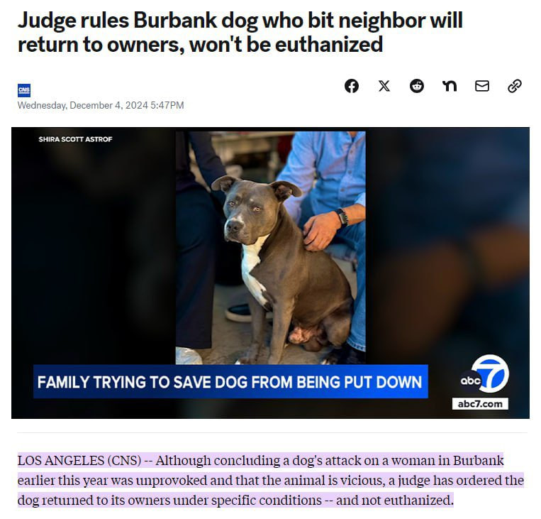 $PNUT narrative: "america was saved by a squirrel and a meme coin"

$CONAN narrative: "a dog was saved from america by a memecoin"

that's the strongest narrative i've seen in a while

i'm beyond bullish
