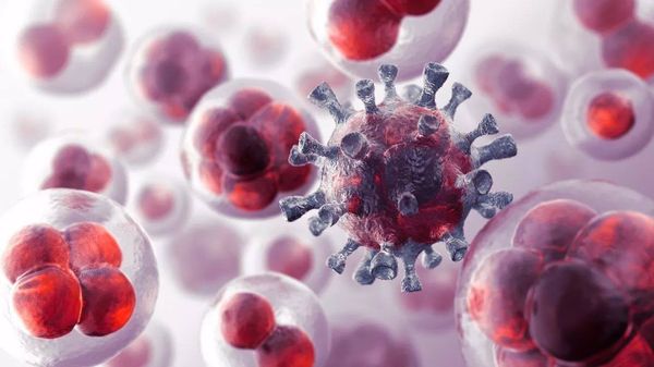 JNOjournal's tweet photo. Call for Papers
Journal of Nutritional Oncology (JNO) – Special Issue on Inflammation in Cancer
Submit your research on the role of inflammation, biomarkers for diagnosis, and anti-inflammatory therapies in cancer.
#inflammation #Cancer 
https://t.co/p9tqAORKoh https://t.co/bxVhqPS4Ji