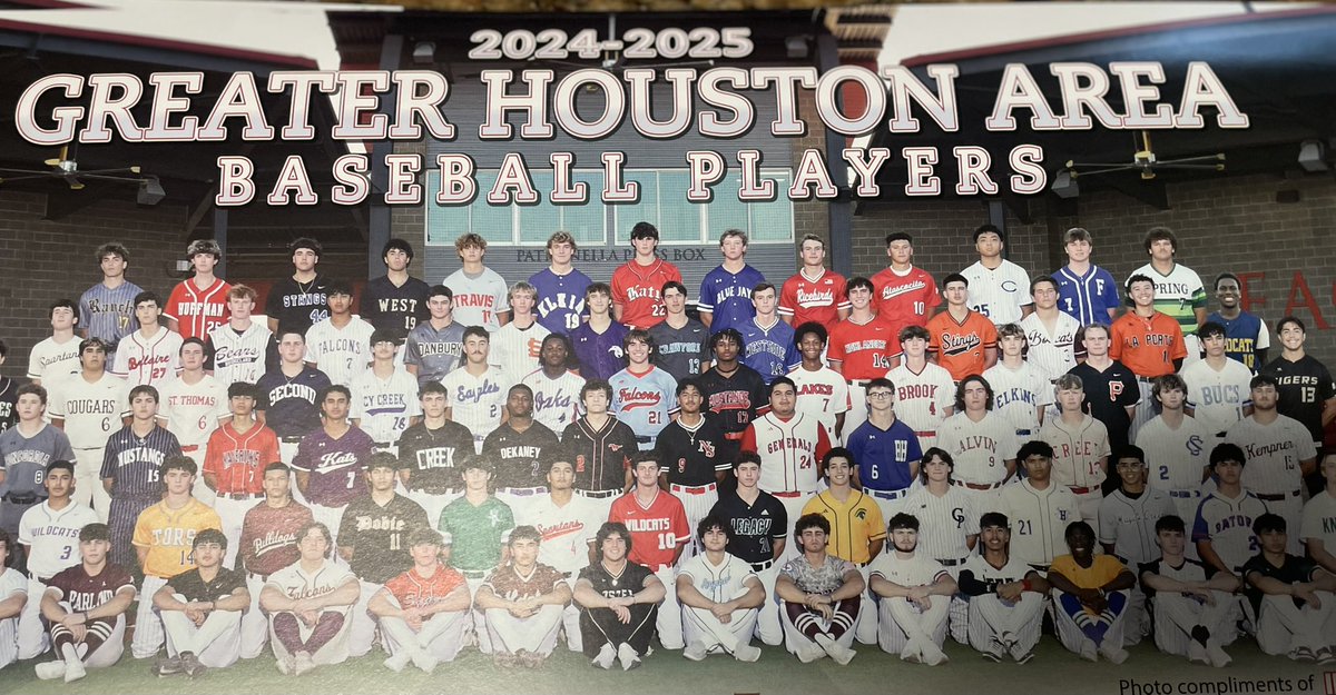 Proud to be chosen to represent Spring High School Baseball for the Houston Area annual No Drinking and Driving poster.  <a href="/SHSLIONBASEBALL/">SPRING LION BASEBALL</a>