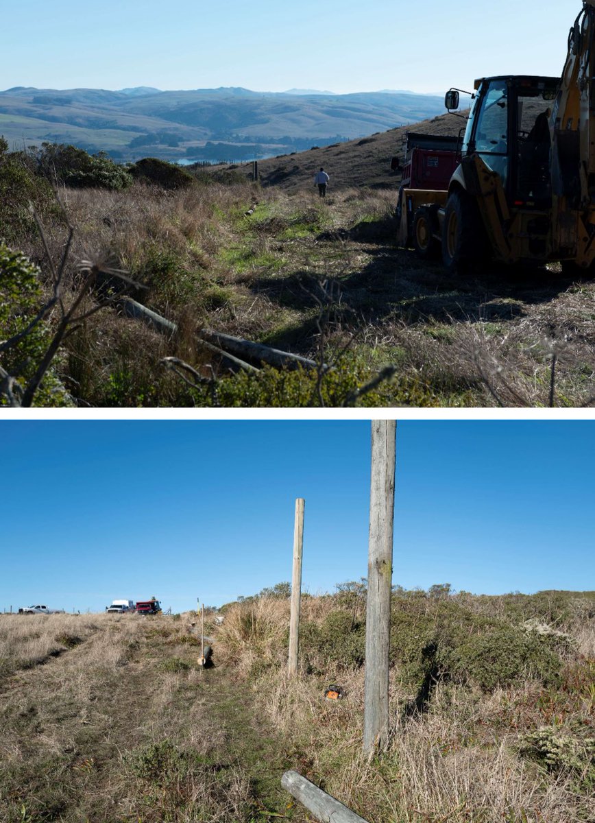 LM Cunningham tweet media