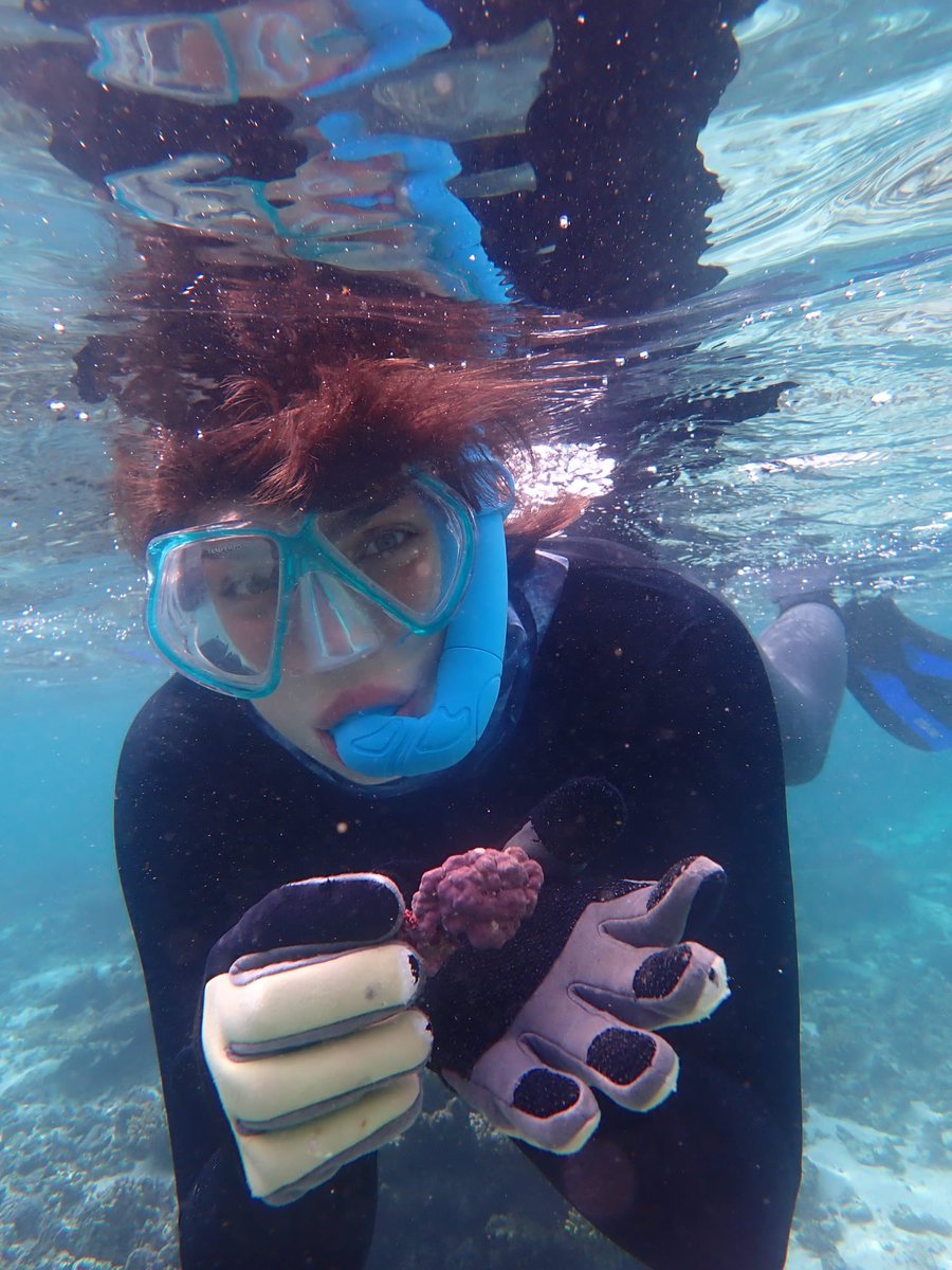 Some good news today: 4 of my PhD students were successful recently in obtaining awards. Holly Koch, Imogen bunting, and Katie Whenton got SBS funding to go to ASLO or ITRS. But, bigger news: Denisa Berbece obtained a Coastal People Southern Skies PhD scholarship!