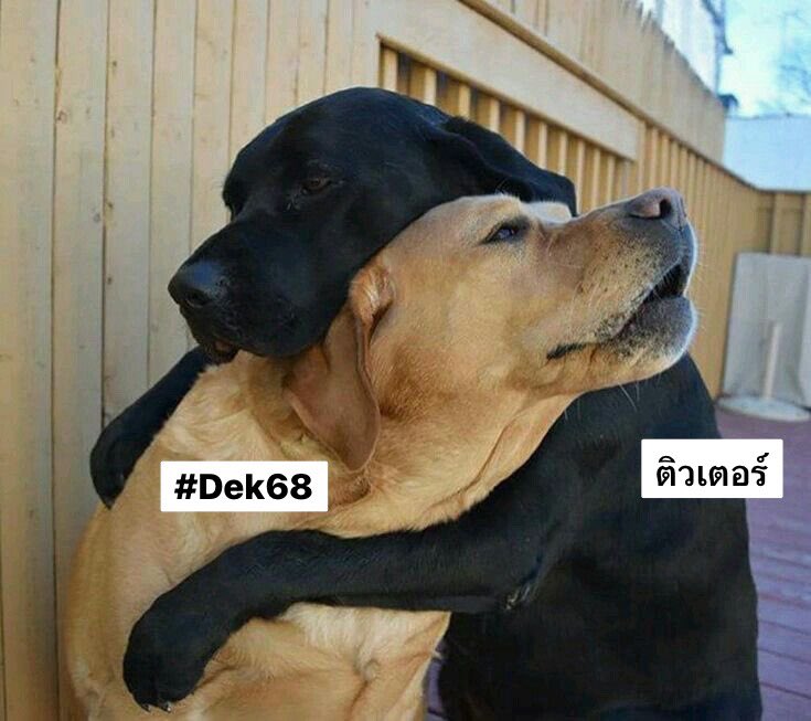 muzuzuir12's tweet photo. เรามีกันแค่นี้ #เลื่อนสอบทั่วประเทศ https://t.co/tAqG4j6z6L