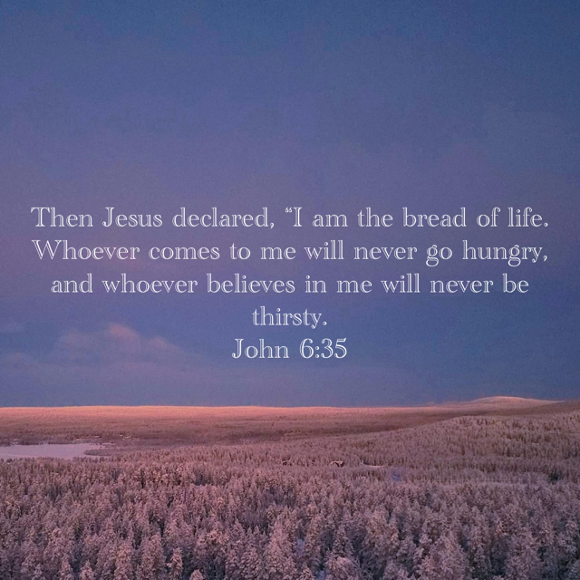 I am the bread of life. Whoever comes to me will never go hungry, and whoever believes in me will never be thirsty.
~Jesus  #verseoftheday