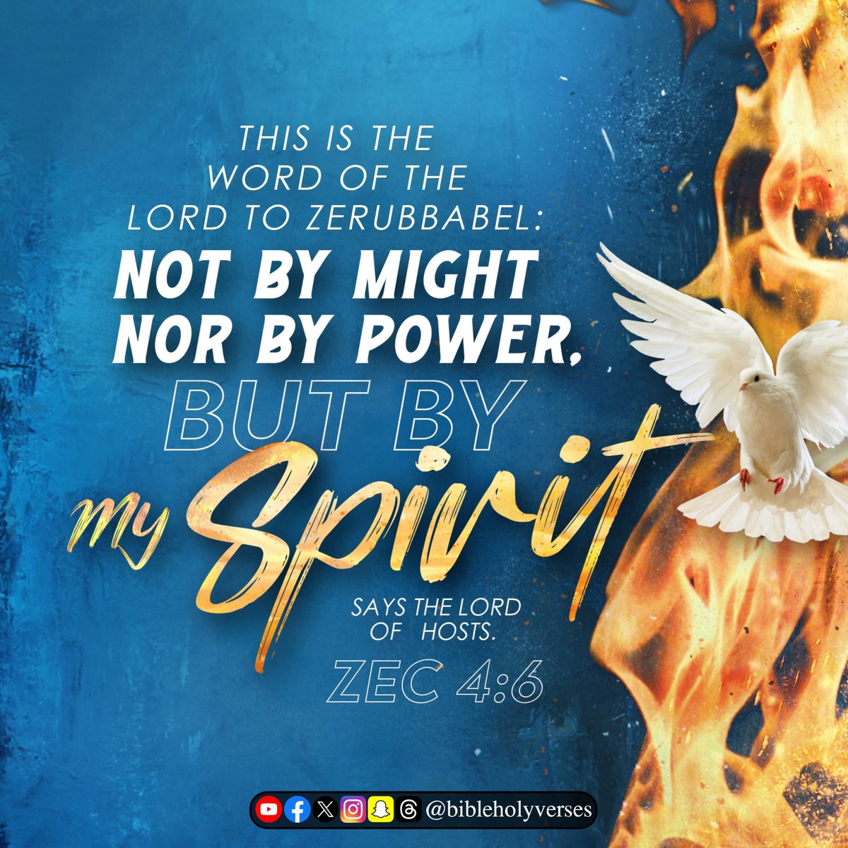 bibleversesjk's tweet photo. 🙏🏻Amen! Hallelujah!🙏🏻
📖Today Promise Verses 🛐
💒God bless you and your family 👨‍👩‍👦‍👦 
#Like✅ | #Comment✅ | #Share✅
#dailypromiseverses #Bibleholyverses  #jesuslovesyou #kingjames #tamilholybible #englishholybible #dailybibleverses  #dailybreath #promiseverse #promiseoftheday https://t.co/ynfLwLDOIK