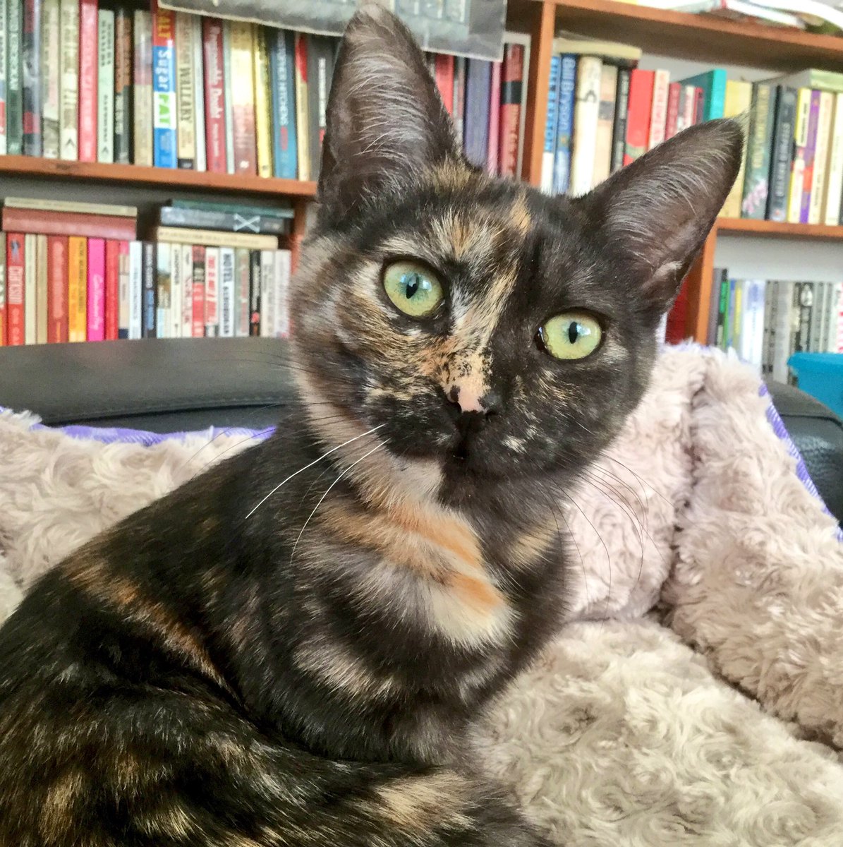 Dave Krantz tweet media