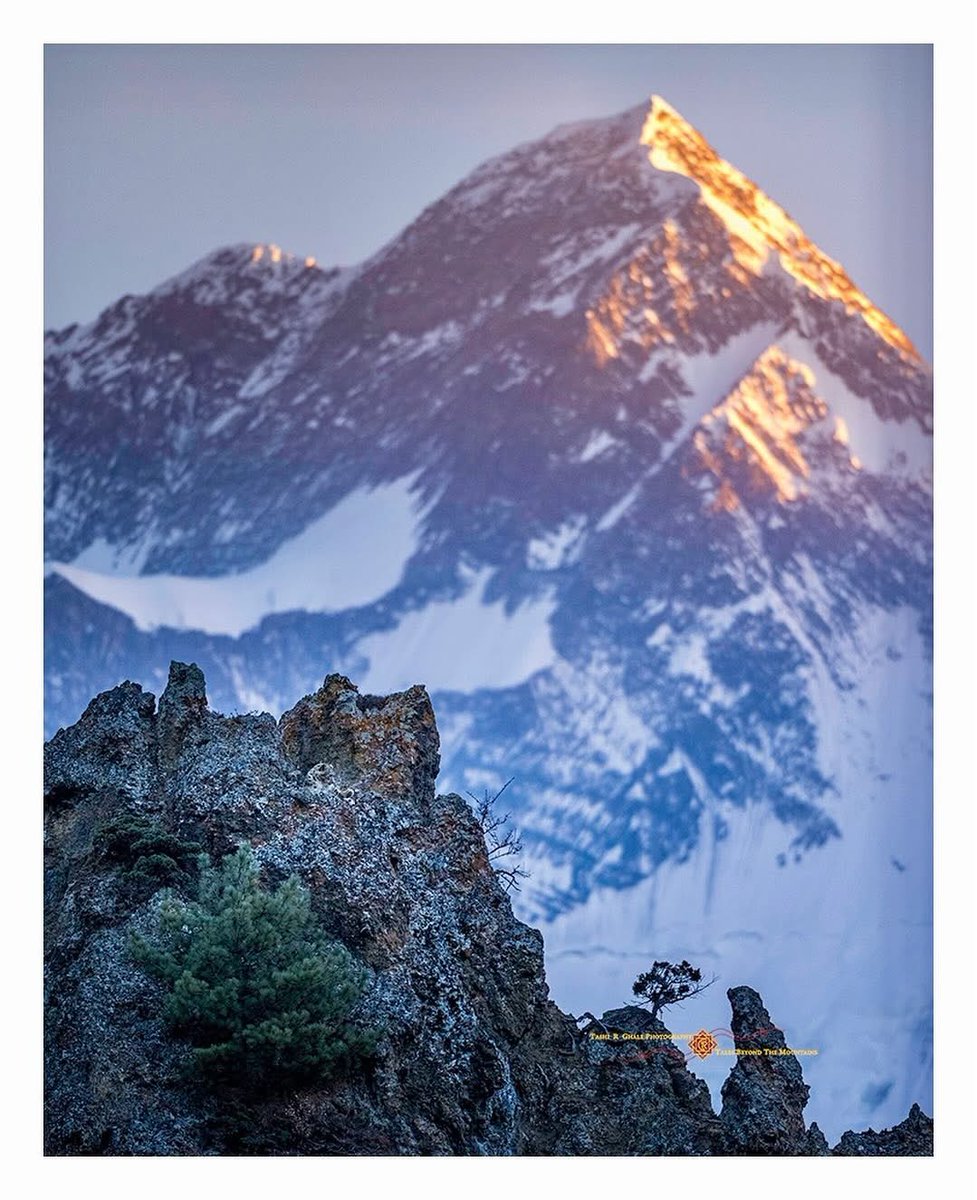 PhilomathicM's tweet photo. Snow leopard in the #Shadow of Mt. #Annapurna II. Double beauty: big cat and #mesmerizing #mountain. Can you spot the leopard?

Photographed in Manang, Annapurna region, #Nepal #Himalaya.

By @TashiRGhale 

#snowleopard #bigcat #wildlife #wildlifephotography #mountainghost #love https://t.co/Y24hqZhhST
