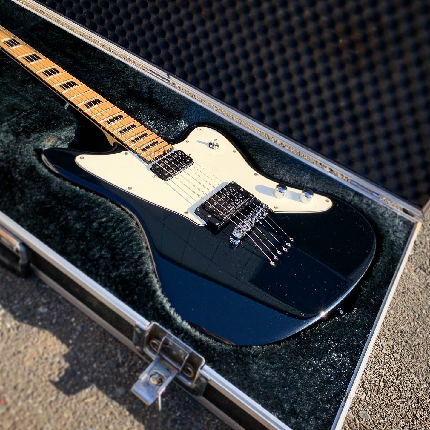 シェクター　ギター　　希少1本のみ egschartist60.jpg