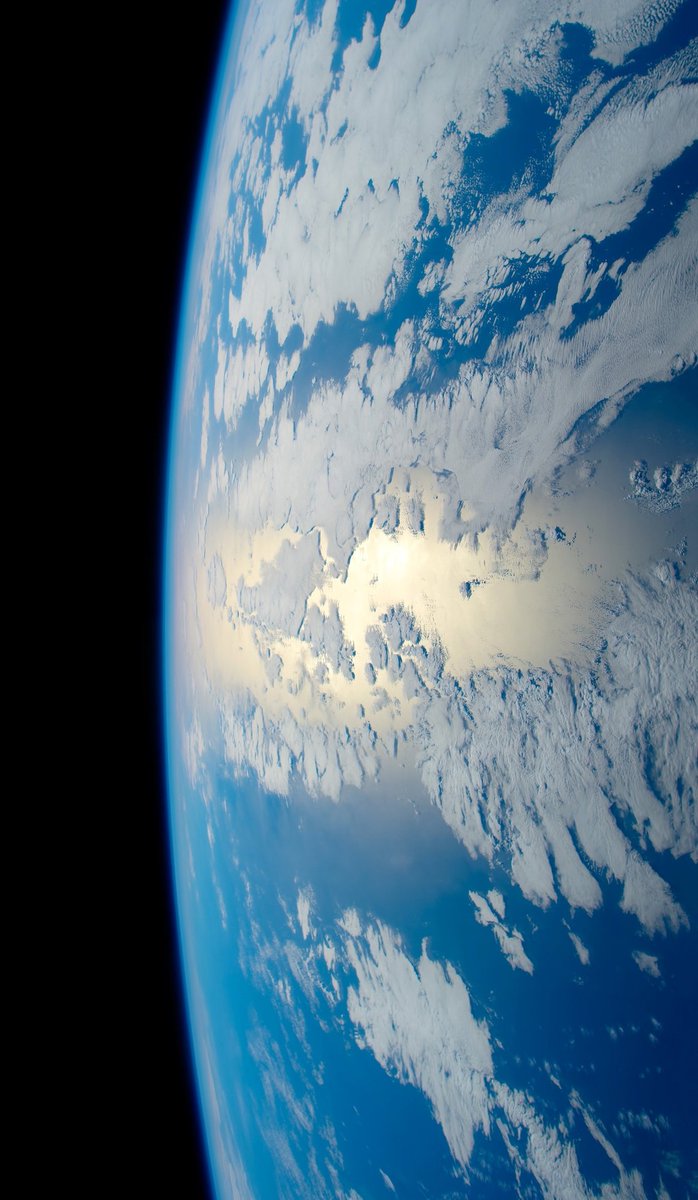 Curiosity tweet media