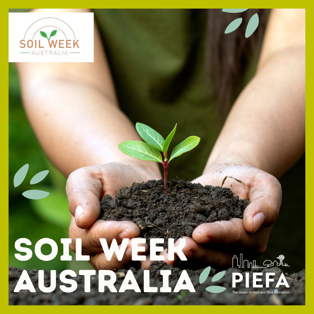 🎉🌱 Today is World Soil Day, marking the beginning of Soil Week Australia!

🥦🥭An initiative by Healthy Soils Australia to raise awareness about the vital role of #healthysoil in ensuring healthy #ecosystems, plants, animals &amp; people

Learn more🌱 buff.ly/3Vm3sHQ