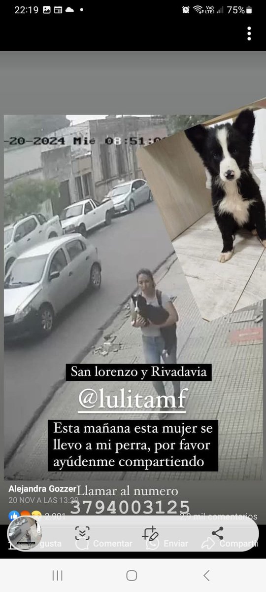 Rt
Difundimos