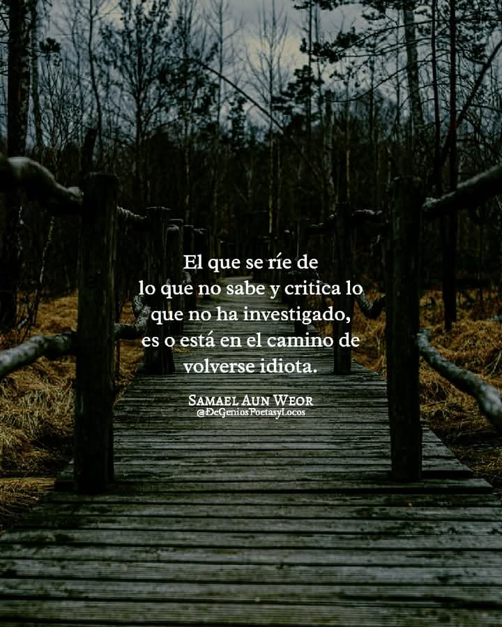 monica rabanales (@monicarabanale1) on Twitter photo 
