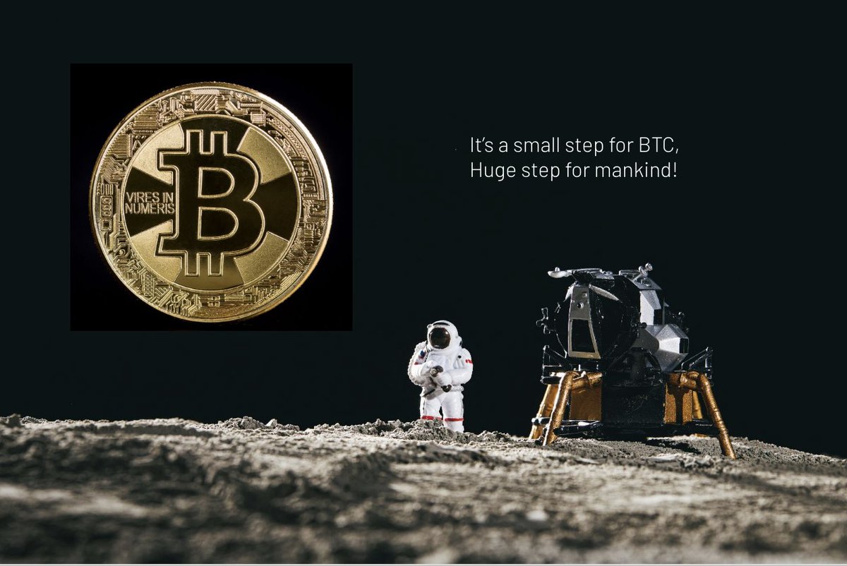 Adel ElMessiry tweet media