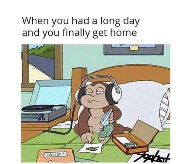 More_StonersRUs's tweet photo. Time to relax 😌 https://t.co/0FbS6dDZWR