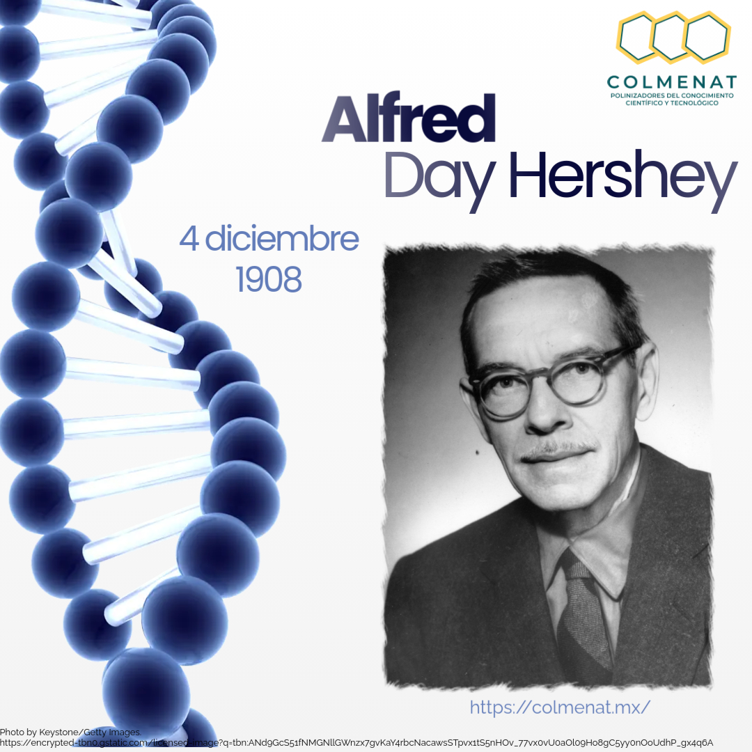 COLMENAT_MX's tweet photo. El 4 de diciembre de 1908 nació el científico estadounidense Alfred Day Hershey

¡Somos polinizadores del conocimiento científico y tecnológico!

¿Ya eres parte de El COLMENAT?
¡Únete a nosotros!

https://t.co/nKQToBCOhq
#COLMENAT
#PolinizadoresDelConocimiento https://t.co/2C567rIYGe