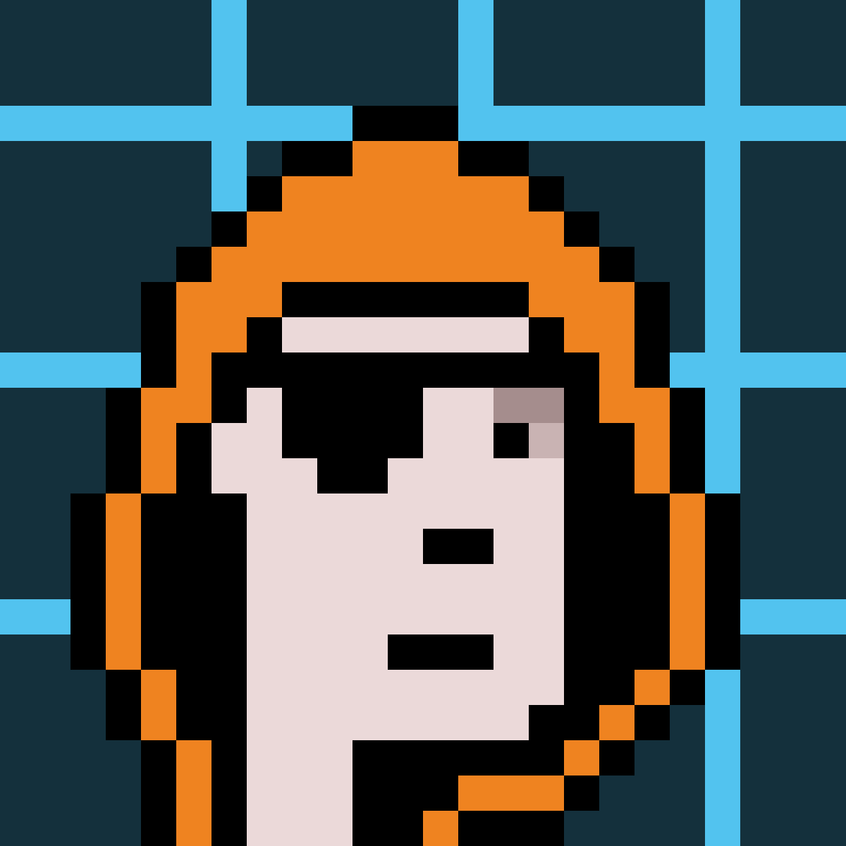 XPunksCo's tweet photo. 1 Bitcoin  =  1 #Bitcoin
#Bitcoin100K https://t.co/aP5uLa6QqP