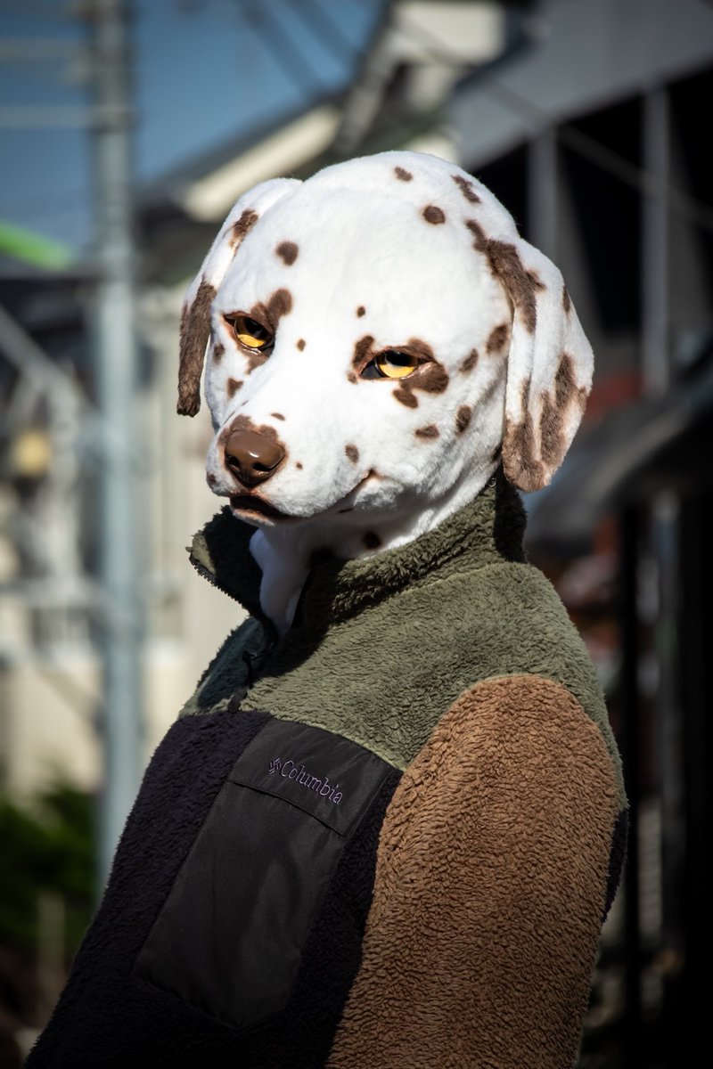 ダルメシアンのヘッドを制作しました。

短毛ファー・ストレッチボアを使っているのでピッタリとフィットし、いろんなファッションを楽しめます。

今週末の展示会「姿鏡」<a href="/Sugatami_2024/">姿鏡-Sugatami- 12/7.8 元映画館</a> で展示販売しますのでぜひご来展ください。

#shippocrafts