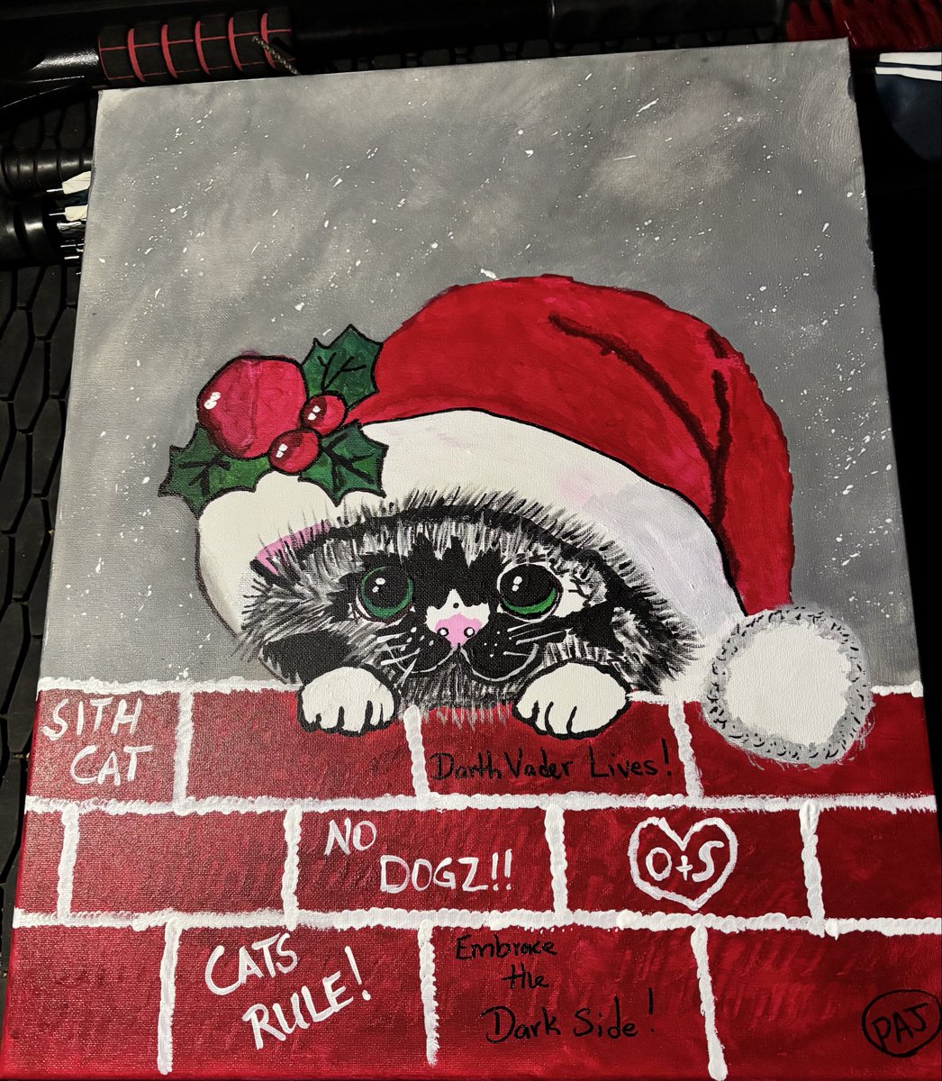 Treistan's tweet photo. First attempt at a WIne and Paint Night. #SithCat #StarWars. https://t.co/IOMGWid6Ye