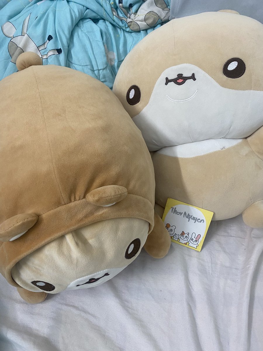 carr0tarea's tweet photo. wts twotuckgom kihyun hamgom!

hooded costume hamgom 90$ ✅
standing body plush hamgom 85$✅

both for 170$ freeshipping

real pics, no vulnerable stains, kept in free-smoke home
great conditions

pls dm for more inquiries!!
ships ww, from 70000 hcmc,vn https://t.co/m2DTUdXSrm