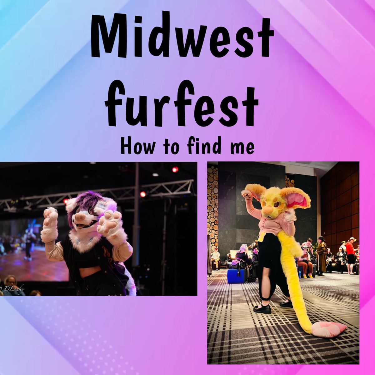 howlmuttstudio's tweet photo. #mff #MidwestFurFest https://t.co/7ArxBiZrp0