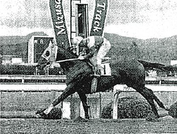 43戦39勝2着3回3着1回。 岩手競馬史上最強とも言われた