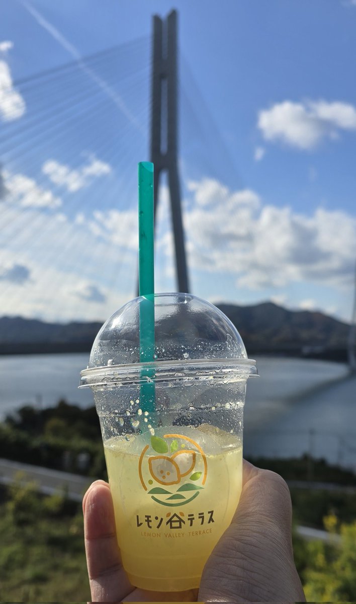 bojamflipmusic's tweet photo. When life gives you lemons, make a lemon ginger soda drink. #lemonvalley https://t.co/bGjDAKWKZO
