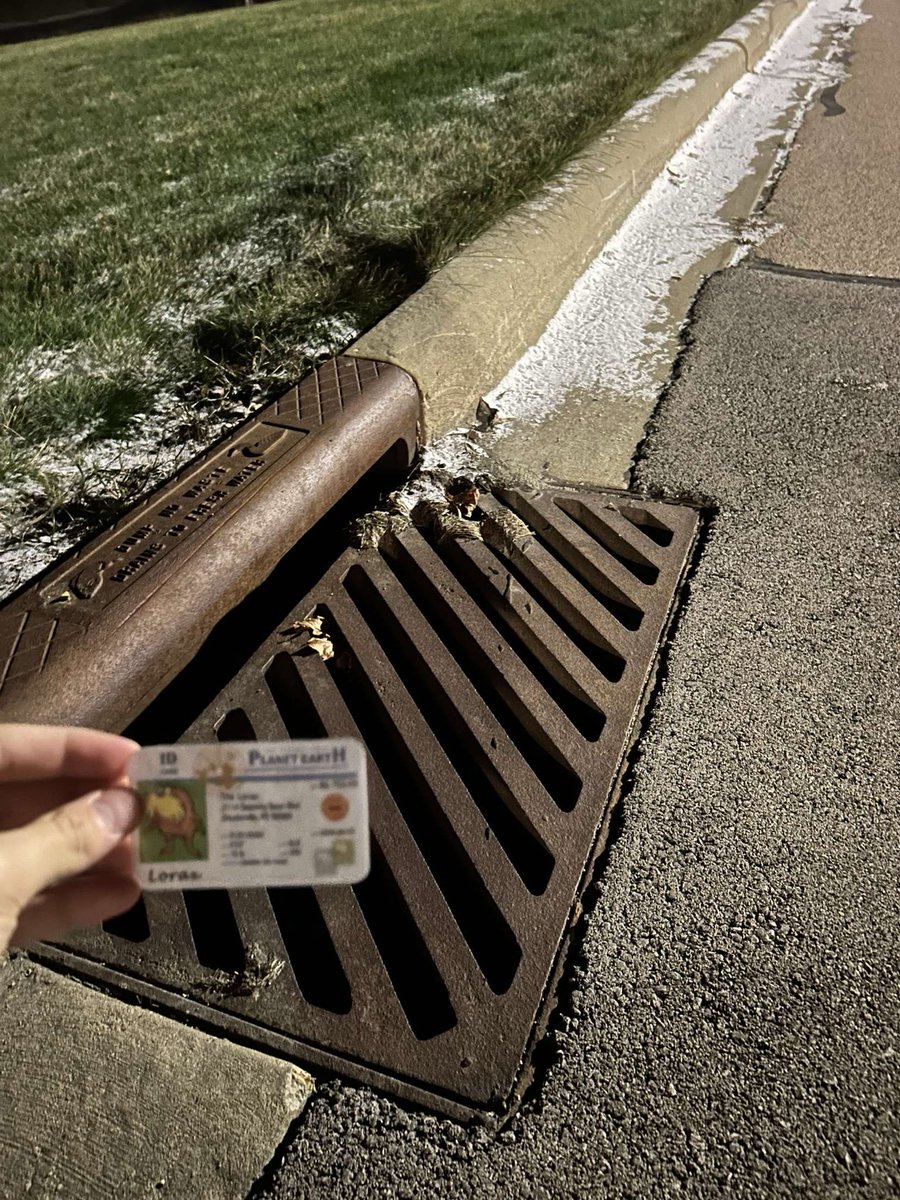 CameronOBr7425's tweet photo. This is showing Franklin’s separated sewer system. Water will flow into this sewer leading to local waterways which meets with Lake Michigan. It is important to keep streets clean to limit pollutants in our water.           #Apeswater ⁦@franklinlorax⁩ https://t.co/EqOWCWYP5t