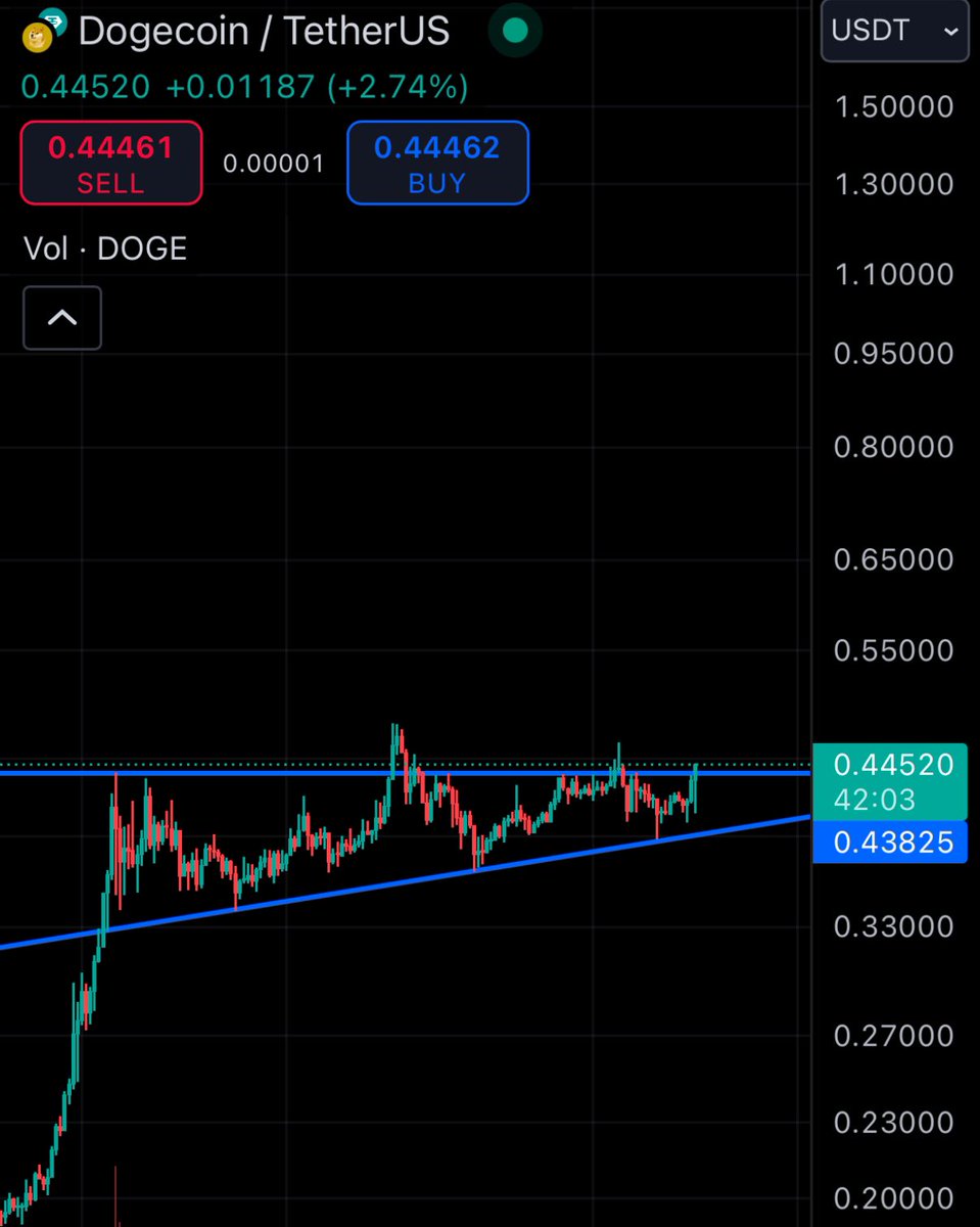 TraderHaych's tweet photo. $DOGE it’s time for 1$ https://t.co/bQ0BFwaqDR