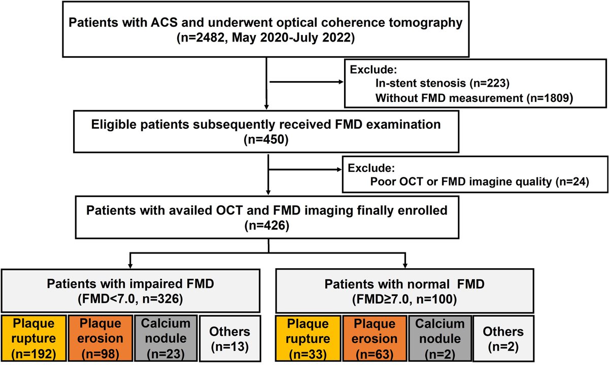 Twinkle_IMR's tweet photo. ๐ซ Impaired flow-mediated vasodilation (FMD) is linked to plaque rupture and higher risks of adverse cardiac events in ACS patients. Could FMD be a game-changer in predicting outcomes?
Read more: https://t.co/hdiEYALgAw
#Cardiology #HeartHealth #EndothelialFunction #ACS https://t.co/DDGLA7av2C