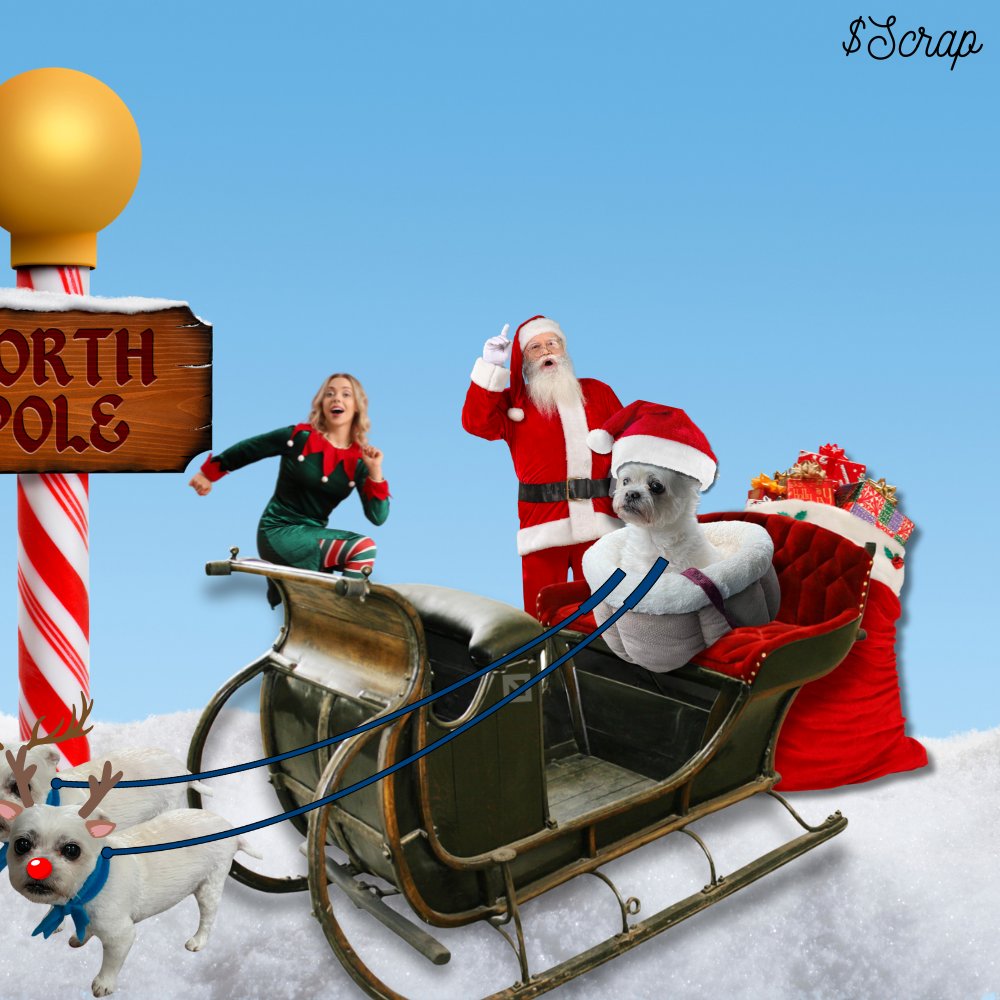 scrappyxrp's tweet photo. Who's starting to feel the Christmas Spirit?!?!🎄

Scrappyclaus is !!! https://t.co/Z9IHxdlhAM