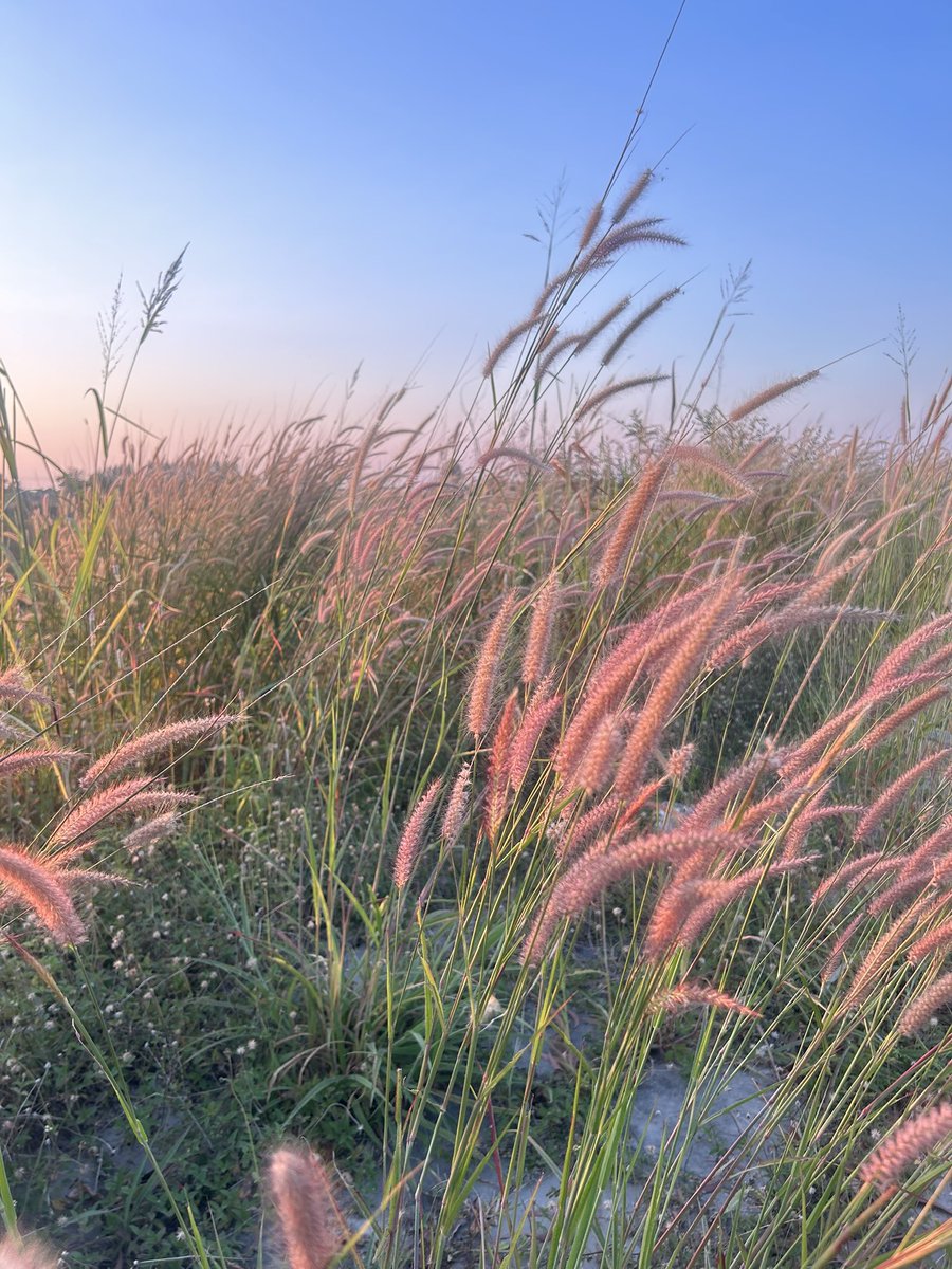 cheevitza's tweet image. จะหมดปีอีกแล้ว น้ำหนักยังไม่ลดสักโล หาแพชชั่นในการออกกำลังกาย ทำงัยดี