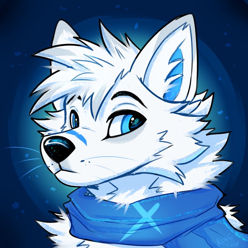 Niru 🔜 Anthrocon 2025 🦊🐺 (@SunnyThewolf1) / Posts / X