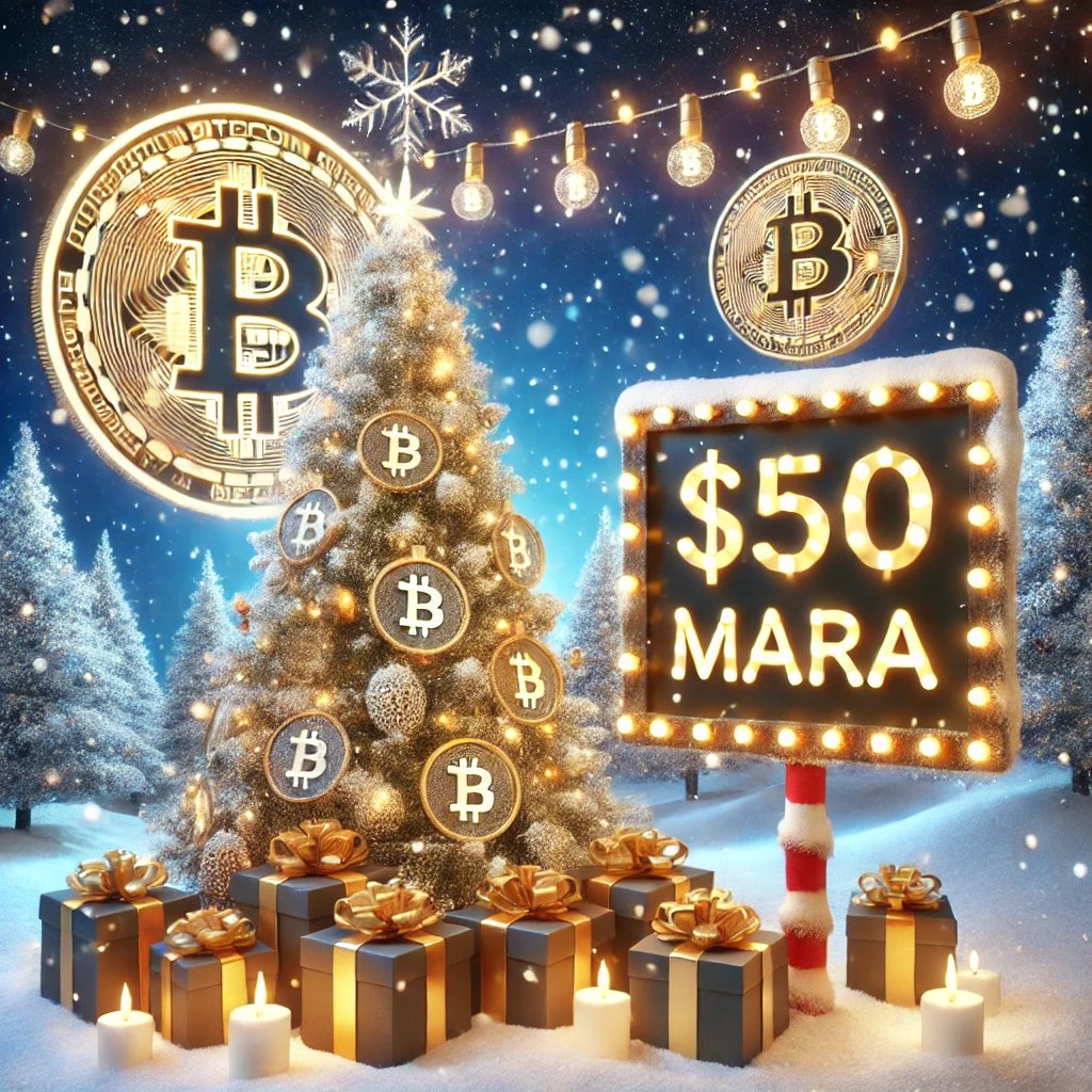 ₿itMara tweet media