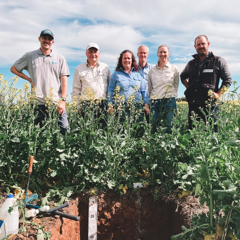 unisqaus's tweet photo. On solid ground this #WorldSoilDay! 

Find out how our researchers are working to this year's theme: 'Caring for Soils: Measure, Monitor, and Manage'. 

@caeusq | @FAOLandWater