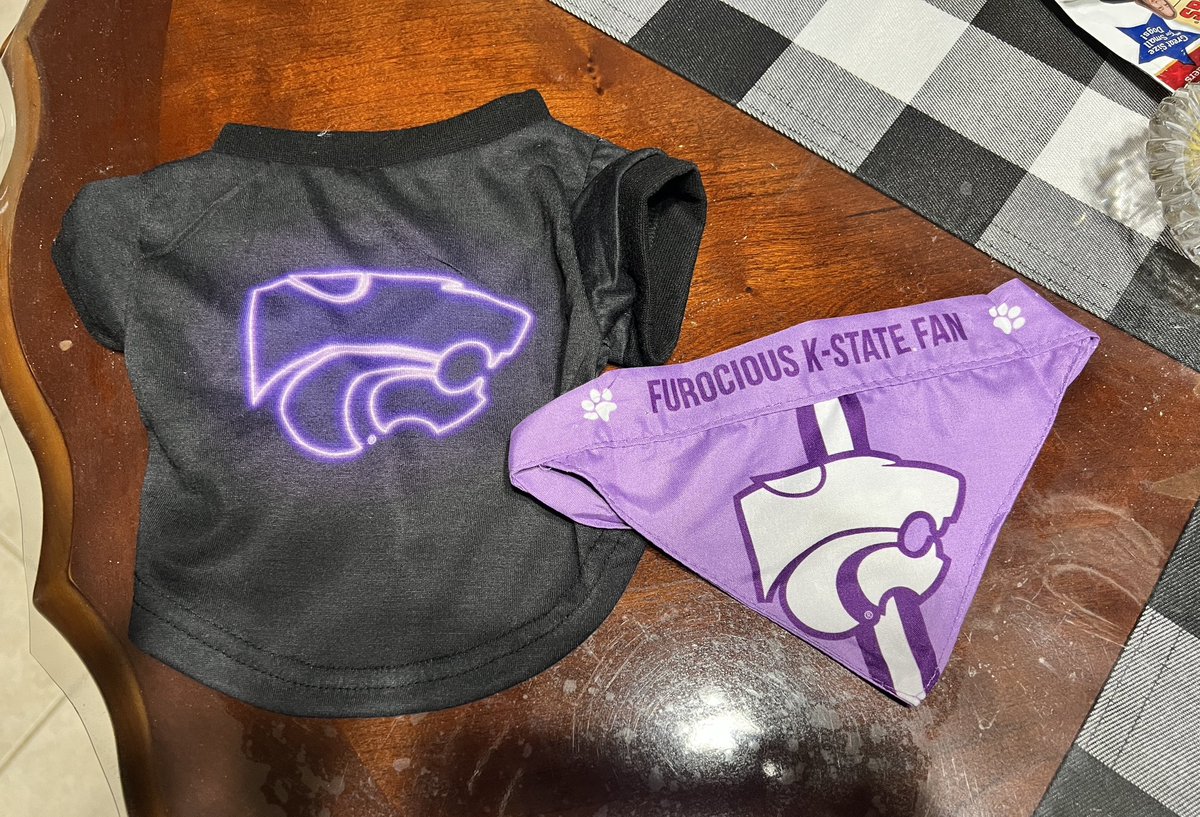 kstatevangirl's tweet photo. My new sister (parent’s new dog) is the smallest K-State fan around!! 😹 #EPAW Miss Dollie will only cheer for the Wildcats!! #Yorkie #2.8lbs https://t.co/2wS9kb4NEW