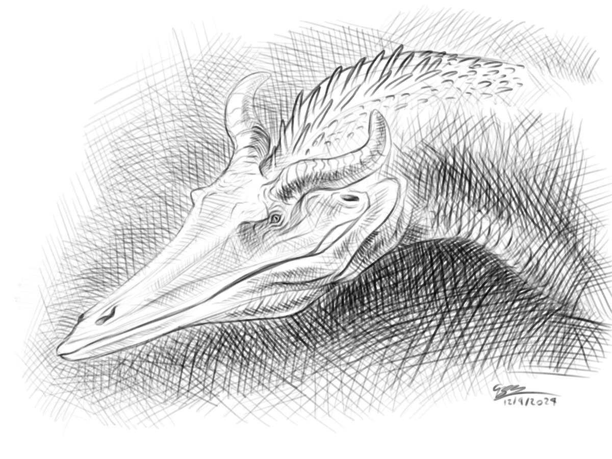 Been feeling the itch to draw a dragon lately