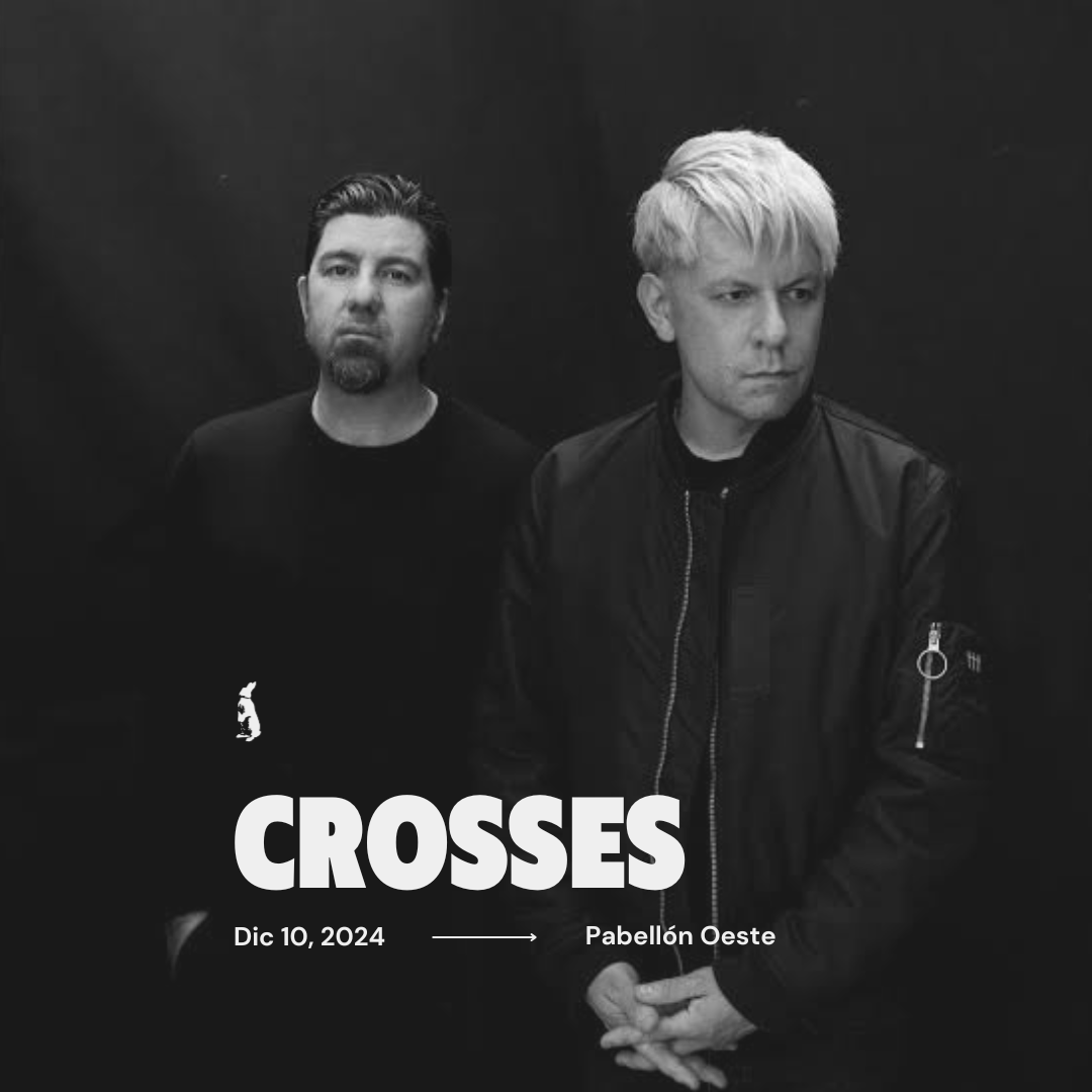 Conejos Films tweet media