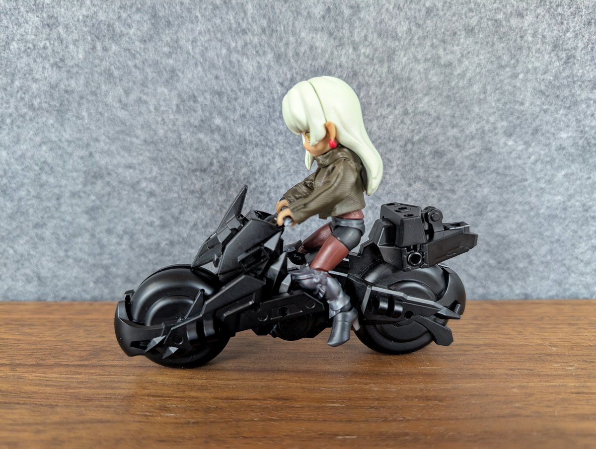 リンクトラベラーズに備えてる皆様、トリニティバイクは写真の様に