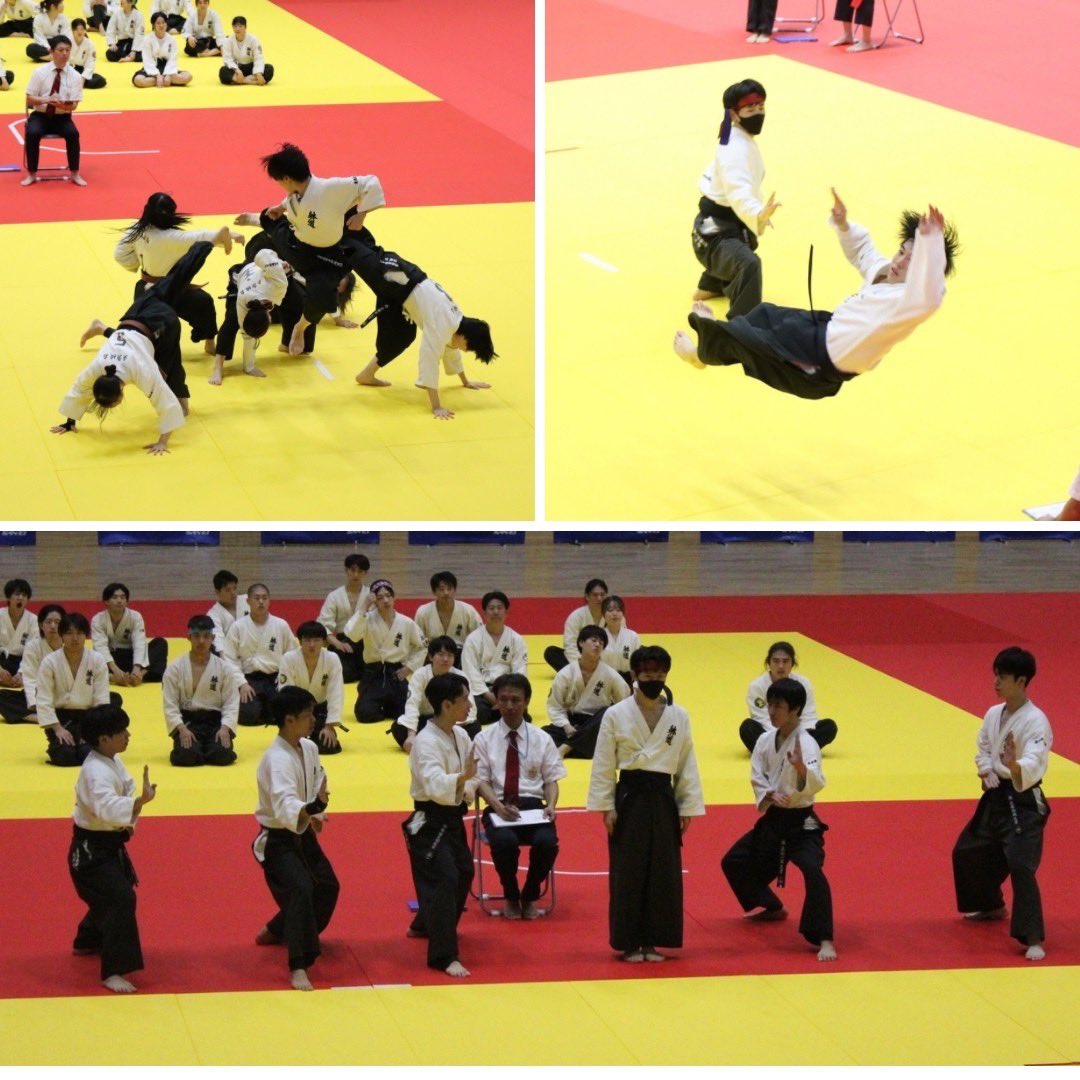 ku_taido's tweet photo. こんにちは、躰道部です！
11/17(日)に【第57回全日本躰道選手権大会】に東京城南地区代表として出場しました🔥

なんと、出場したすべての団体競技で、入賞😳

慶應の実力を全国に向けて存分に発揮できた大会でした🌸

#慶應サークル #慶応サークル #アクロバット #躰道 #武道 #空手 #躰道部 https://t.co/0upSZzsGCQ