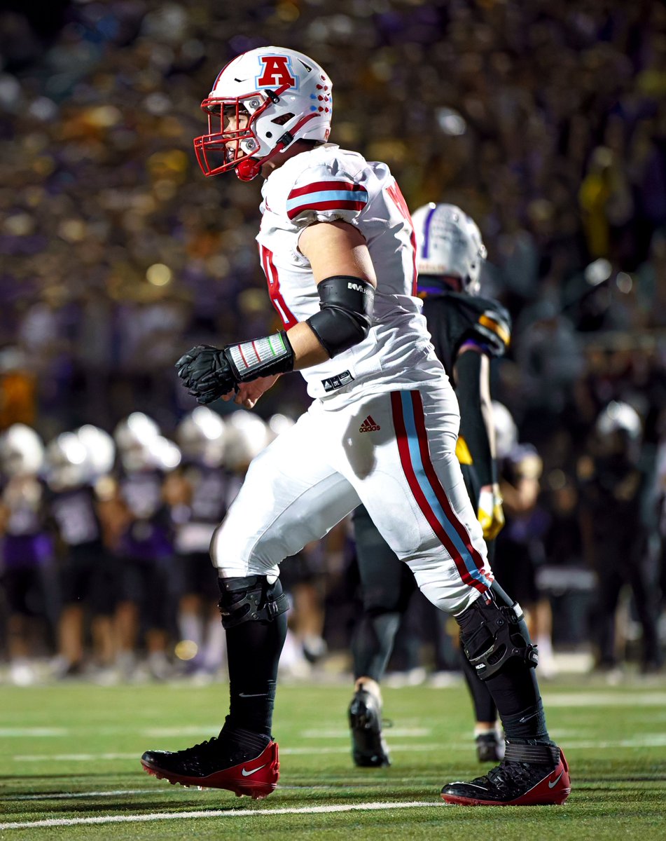 Shelly Lotz tweet media